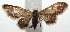  ( - 15-SRNP-102809)  @12 [ ] CreativeCommons  Attribution Non-Commercial Share-Alike (2016) Unspecified Guanacaste Dry Forest Conservation Fund