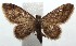  ( - 15-SRNP-102814)  @13 [ ] CreativeCommons  Attribution Non-Commercial Share-Alike (2016) Unspecified Guanacaste Dry Forest Conservation Fund