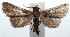  ( - 15-SRNP-102855)  @14 [ ] CreativeCommons  Attribution Non-Commercial Share-Alike (2016) Unspecified Guanacaste Dry Forest Conservation Fund