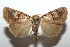  ( - 15-SRNP-102940)  @14 [ ] CreativeCommons  Attribution Non-Commercial Share-Alike (2016) Unspecified Guanacaste Dry Forest Conservation Fund