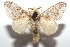 ( - 15-SRNP-103001)  @14 [ ] CreativeCommons  Attribution Non-Commercial Share-Alike (2016) Unspecified Guanacaste Dry Forest Conservation Fund