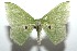  ( - 15-SRNP-103010)  @13 [ ] CreativeCommons  Attribution Non-Commercial Share-Alike (2016) Unspecified Guanacaste Dry Forest Conservation Fund