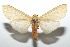  ( - 15-SRNP-103051)  @14 [ ] CreativeCommons  Attribution Non-Commercial Share-Alike (2016) Unspecified Guanacaste Dry Forest Conservation Fund