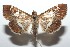 ( - 15-SRNP-103088)  @13 [ ] CreativeCommons  Attribution Non-Commercial Share-Alike (2016) Unspecified Guanacaste Dry Forest Conservation Fund
