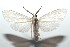  ( - 15-SRNP-103096)  @14 [ ] CreativeCommons  Attribution Non-Commercial Share-Alike (2016) Unspecified Guanacaste Dry Forest Conservation Fund