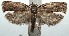  ( - 15-SRNP-103168)  @13 [ ] CreativeCommons  Attribution Non-Commercial Share-Alike (2016) Unspecified Guanacaste Dry Forest Conservation Fund