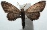  ( - 15-SRNP-103210)  @13 [ ] CreativeCommons  Attribution Non-Commercial Share-Alike (2016) Unspecified Guanacaste Dry Forest Conservation Fund