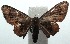  ( - 15-SRNP-103217)  @14 [ ] CreativeCommons  Attribution Non-Commercial Share-Alike (2016) Unspecified Guanacaste Dry Forest Conservation Fund