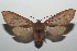  ( - 16-SRNP-100023)  @14 [ ] CreativeCommons  Attribution Non-Commercial Share-Alike (2016) Unspecified Guanacaste Dry Forest Conservation Fund