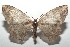  ( - 16-SRNP-100087)  @14 [ ] CreativeCommons  Attribution Non-Commercial Share-Alike (2016) Unspecified Guanacaste Dry Forest Conservation Fund