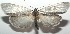  ( - 16-SRNP-100189)  @14 [ ] CreativeCommons  Attribution Non-Commercial Share-Alike (2016) Unspecified Guanacaste Dry Forest Conservation Fund