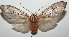  ( - 16-SRNP-100200)  @14 [ ] CreativeCommons  Attribution Non-Commercial Share-Alike (2016) Unspecified Guanacaste Dry Forest Conservation Fund