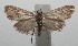  ( - 16-SRNP-100224)  @12 [ ] CreativeCommons  Attribution Non-Commercial Share-Alike (2016) Unspecified Guanacaste Dry Forest Conservation Fund