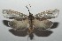  ( - 16-SRNP-100258)  @13 [ ] CreativeCommons  Attribution Non-Commercial Share-Alike (2016) Unspecified Guanacaste Dry Forest Conservation Fund