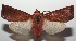  ( - 16-SRNP-100266)  @14 [ ] CreativeCommons  Attribution Non-Commercial Share-Alike (2016) Unspecified Guanacaste Dry Forest Conservation Fund