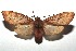  ( - 16-SRNP-100282)  @14 [ ] CreativeCommons  Attribution Non-Commercial Share-Alike (2016) Unspecified Guanacaste Dry Forest Conservation Fund