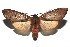  ( - 16-SRNP-100288)  @14 [ ] CreativeCommons  Attribution Non-Commercial Share-Alike (2016) Unspecified Guanacaste Dry Forest Conservation Fund