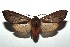  ( - 16-SRNP-100291)  @14 [ ] CreativeCommons  Attribution Non-Commercial Share-Alike (2016) Unspecified Guanacaste Dry Forest Conservation Fund