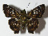  ( - 12-SRNP-20777)  @13 [ ] CreativeCommons - Attribution Non-Commercial Share-Alike (2014) Daniel H. Janzen Guanacaste Dry Forest Conservation Fund