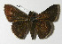  ( - 12-SRNP-21758)  @14 [ ] CreativeCommons - Attribution Non-Commercial Share-Alike (2014) Daniel H. Janzen Guanacaste Dry Forest Conservation Fund