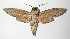  ( - 12-SRNP-22149)  @12 [ ] CreativeCommons - Attribution Non-Commercial Share-Alike (2014) Daniel H. Janzen Guanacaste Dry Forest Conservation Fund
