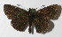  ( - 12-SRNP-30506)  @13 [ ] CreativeCommons - Attribution Non-Commercial Share-Alike (2014) Daniel H. Janzen Guanacaste Dry Forest Conservation Fund
