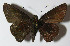  ( - 12-SRNP-3572)  @14 [ ] CreativeCommons - Attribution Non-Commercial Share-Alike (2014) Daniel H. Janzen Guanacaste Dry Forest Conservation Fund