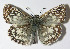  ( - 12-SRNP-70633)  @15 [ ] CreativeCommons - Attribution Non-Commercial Share-Alike (2014) Daniel H. Janzen Guanacaste Dry Forest Conservation Fund