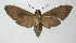  ( - 12-SRNP-72153)  @14 [ ] CreativeCommons - Attribution Non-Commercial Share-Alike (2014) Daniel H. Janzen Guanacaste Dry Forest Conservation Fund