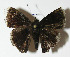  ( - 12-SRNP-72246)  @13 [ ] CreativeCommons - Attribution Non-Commercial Share-Alike (2014) Daniel H. Janzen Guanacaste Dry Forest Conservation Fund