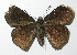  ( - 12-SRNP-72358)  @13 [ ] CreativeCommons - Attribution Non-Commercial Share-Alike (2014) Daniel H. Janzen Guanacaste Dry Forest Conservation Fund