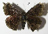  ( - 12-SRNP-72359)  @13 [ ] CreativeCommons - Attribution Non-Commercial Share-Alike (2014) Daniel H. Janzen Guanacaste Dry Forest Conservation Fund