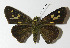  ( - 12-SRNP-76656)  @14 [ ] CreativeCommons - Attribution Non-Commercial Share-Alike (2014) Daniel H. Janzen Guanacaste Dry Forest Conservation Fund