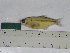  ( - MHNM37580)  @11 [ ] Unspecified (default): All Rights Reserved  Unspecified Unspecified