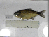  ( - MHNM44691)  @11 [ ] Unspecified (default): All Rights Reserved  Unspecified Unspecified