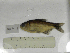  ( - MHNM44692)  @11 [ ] Unspecified (default): All Rights Reserved  Unspecified Unspecified