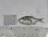  ( - MHNM57271)  @11 [ ] Unspecified (default): All Rights Reserved  Unspecified Unspecified