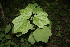  ( - BioBot00001)  @11 [ ] Copyright (2010) Unspecified Unspecified