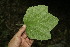  ( - BioBot00001)  @11 [ ] Copyright (2010) Unspecified Unspecified