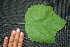  ( - BioBot00002)  @11 [ ] Copyright (2010) Unspecified Unspecified
