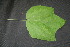  ( - BioBot00002)  @11 [ ] Copyright (2010) Unspecified Unspecified
