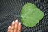  ( - BioBot00003)  @11 [ ] Copyright (2010) Unspecified Unspecified