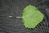  ( - BioBot00003)  @11 [ ] Copyright (2010) Unspecified Unspecified