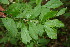  ( - BioBot00009)  @11 [ ] Copyright (2010) Unspecified Unspecified