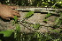  ( - BioBot00009)  @11 [ ] Copyright (2010) Unspecified Unspecified