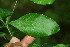  ( - BioBot00009)  @11 [ ] Copyright (2010) Unspecified Unspecified