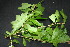  ( - BioBot00011)  @11 [ ] Copyright (2010) Unspecified Unspecified