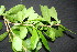  ( - BioBot00011)  @11 [ ] Copyright (2010) Unspecified Unspecified