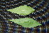  ( - BioBot00011)  @11 [ ] Copyright (2010) Unspecified Unspecified