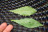  ( - BioBot00011)  @11 [ ] Copyright (2010) Unspecified Unspecified